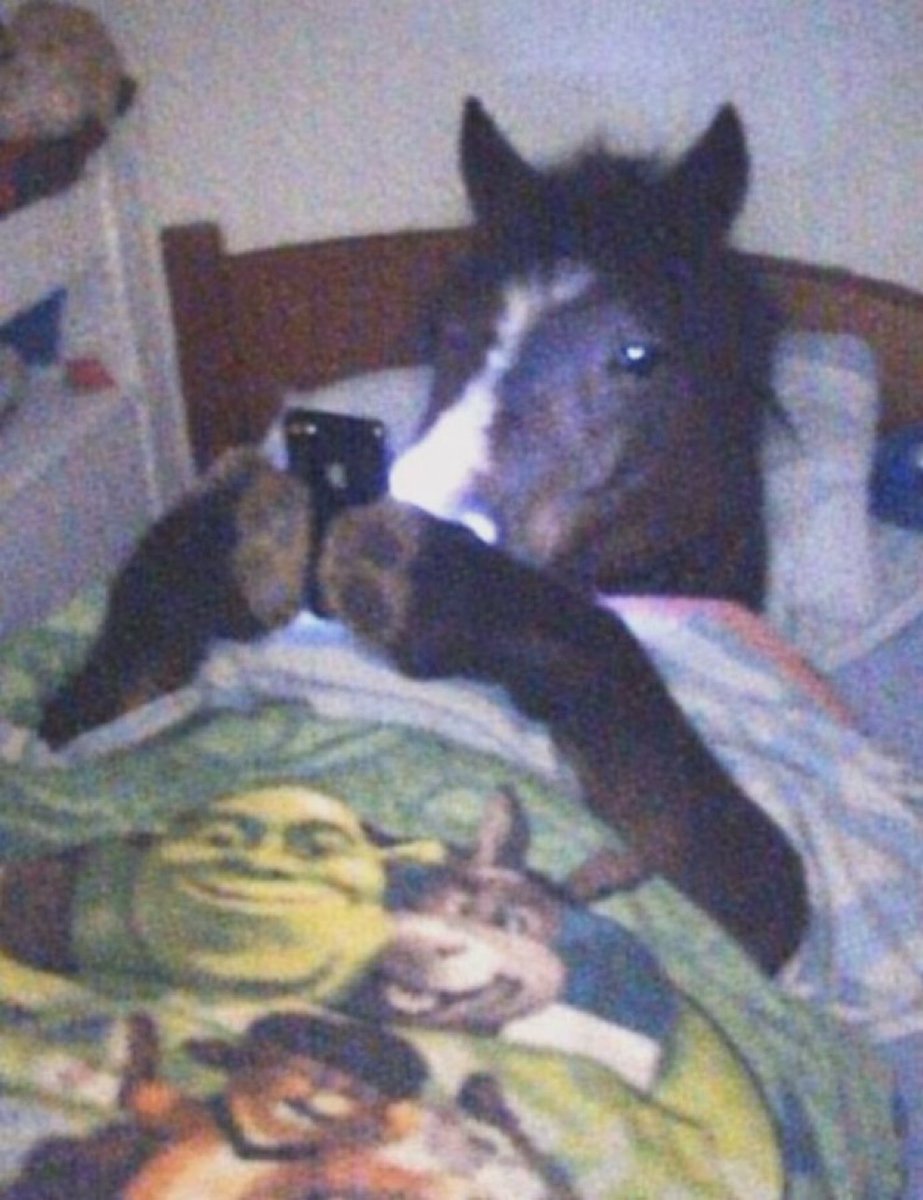 voided's tweet photo. That one bro that swears he’s locked in and deactivate his instagram just to be on X like this all day https://t.co/JFmyX7LMke
