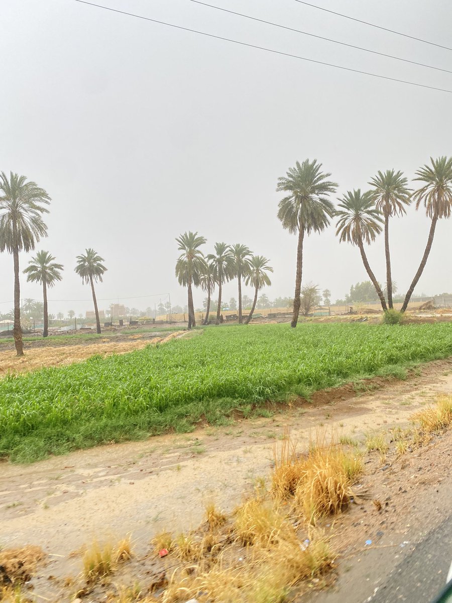 إنسان بَحت tweet media