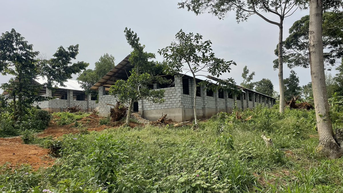 EmmanuelOd70352's tweet image. 