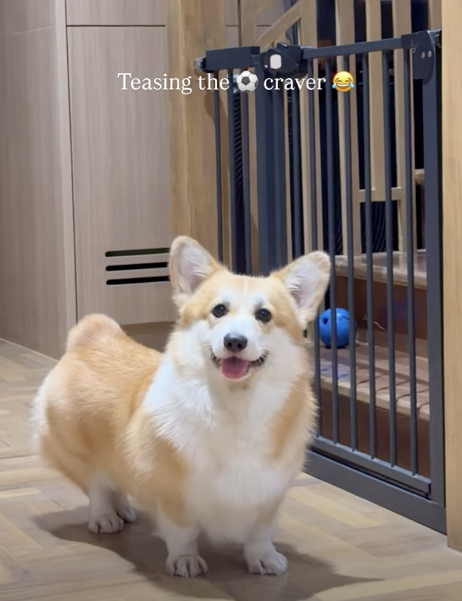 Blossom_Tide tweet media