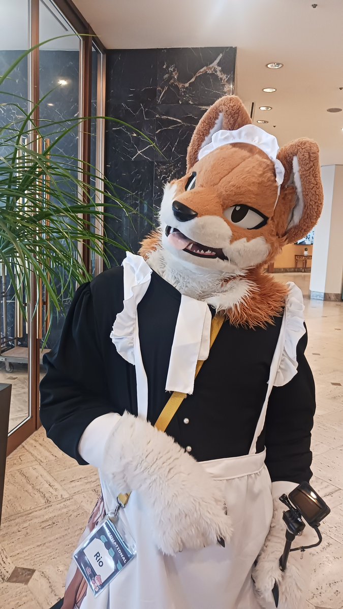 로디Rhodie 🔜UTFG tweet media