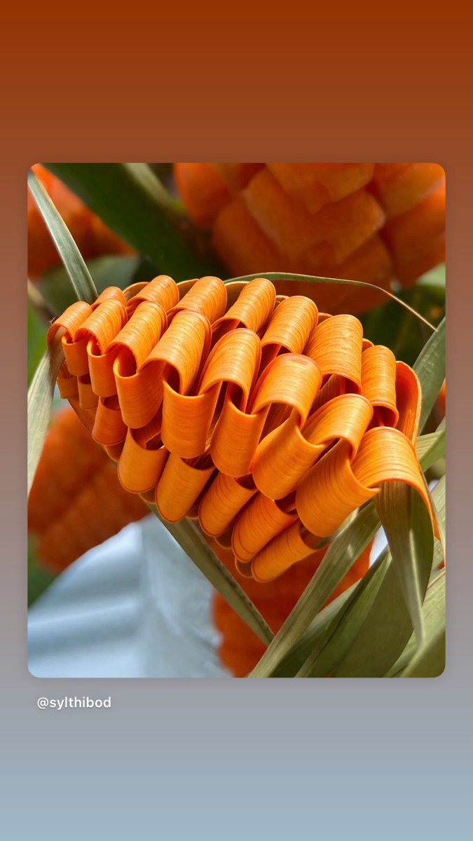 lysuol's tweet photo. 🥕Here are some braided carrot ribbons 🥕that will beautify your dishes and delight your guests.🧡 https://t.co/9Eba05JACD