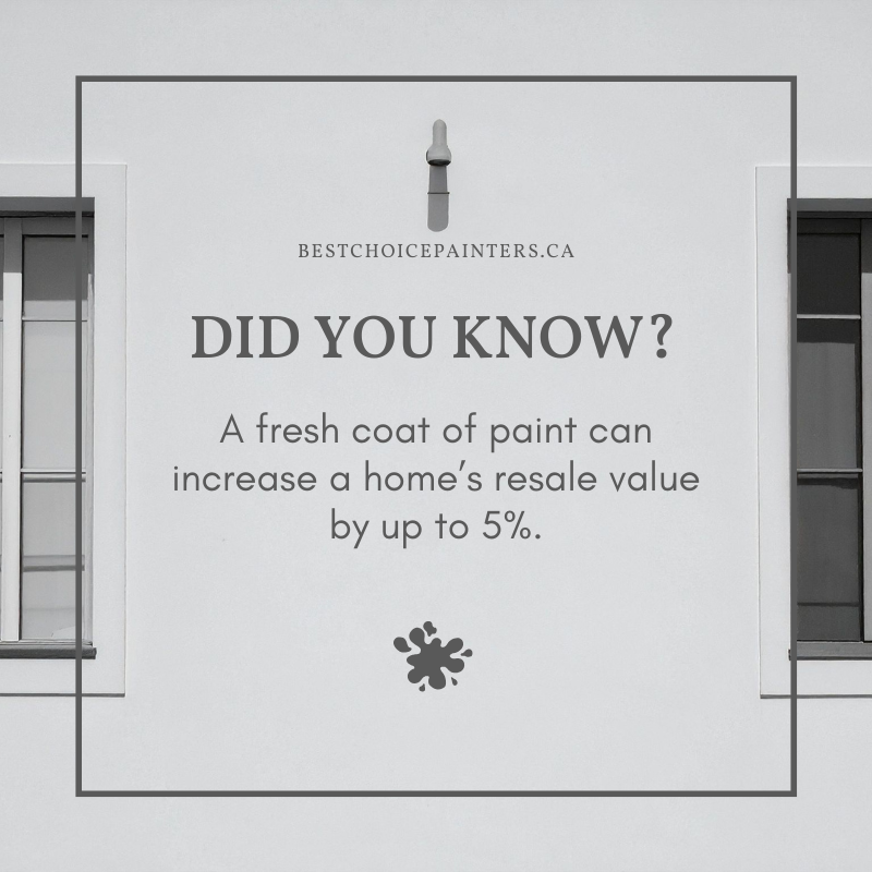 Best Choice Painters tweet media