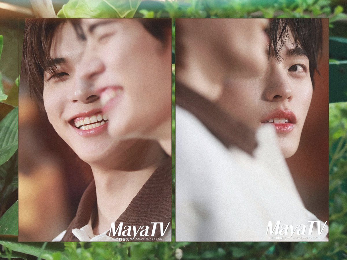 MAYA TV OFFICIAL tweet media