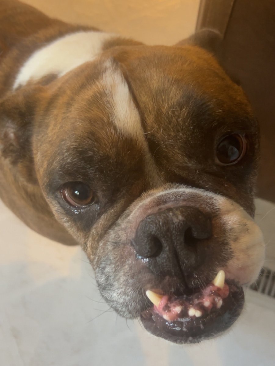 Wendy Baker tweet media