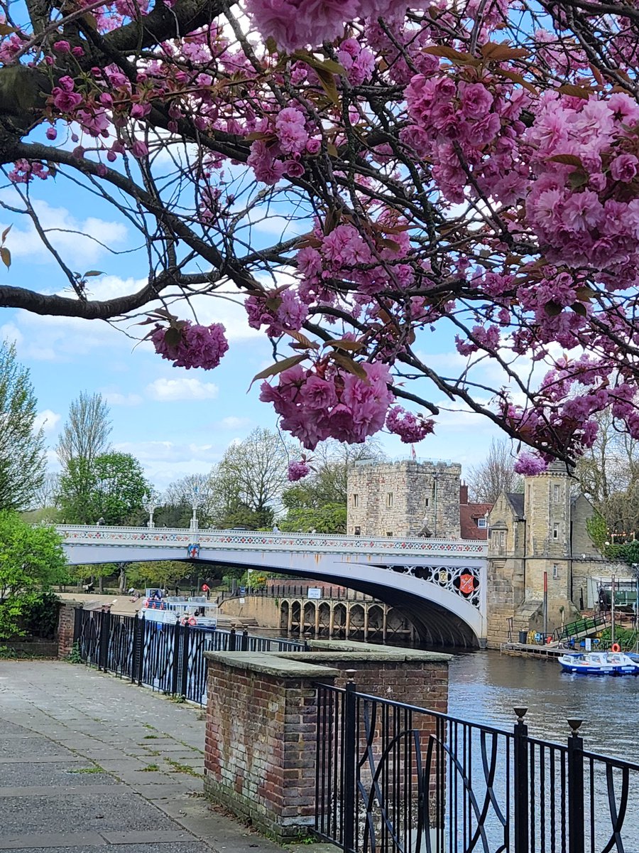 JxshThxmas's tweet image. #york