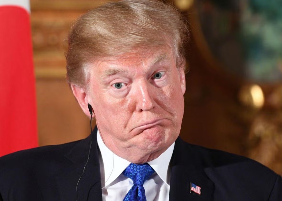 Occupy Democrats tweet media