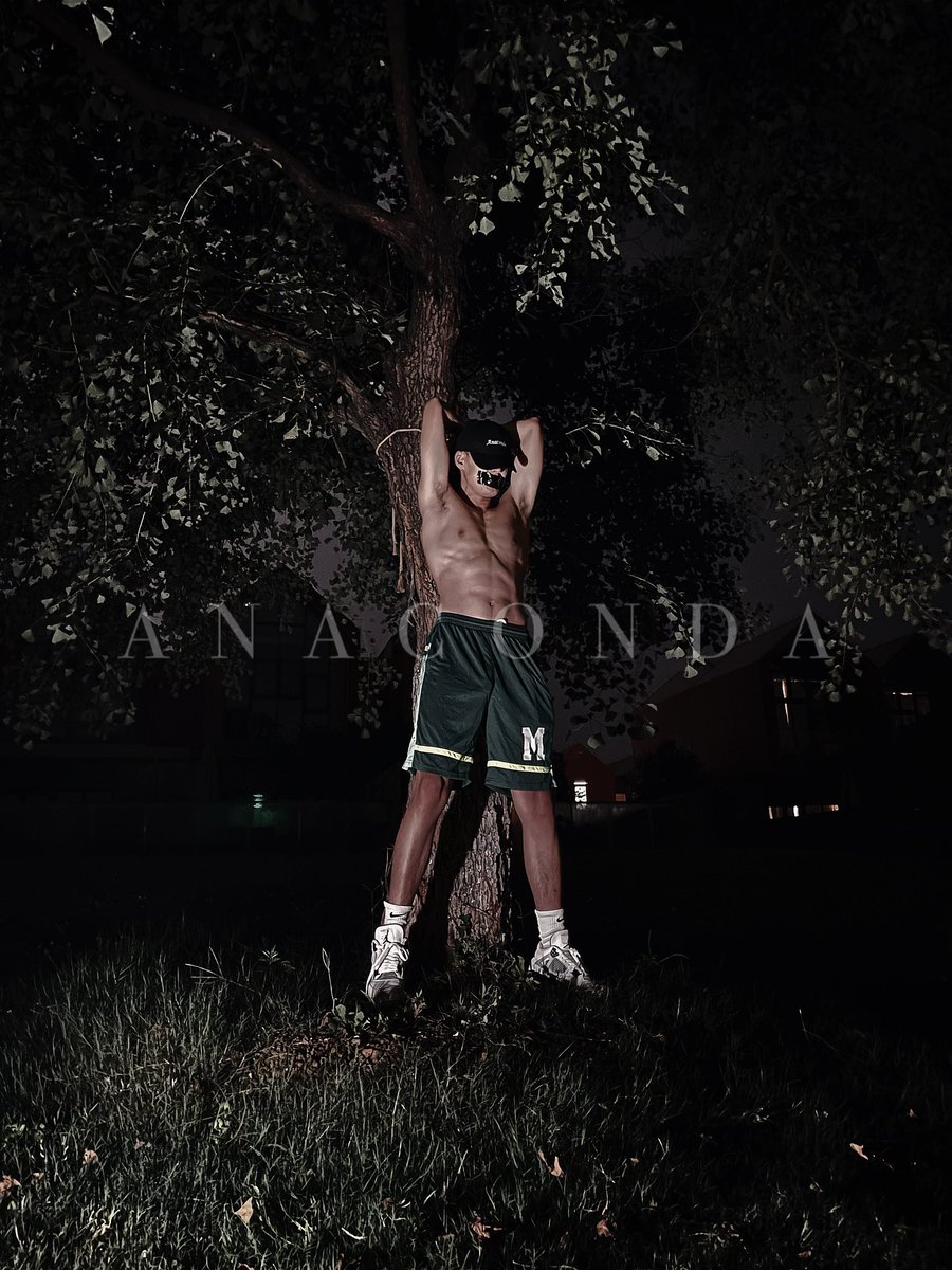 Anaconda tweet media