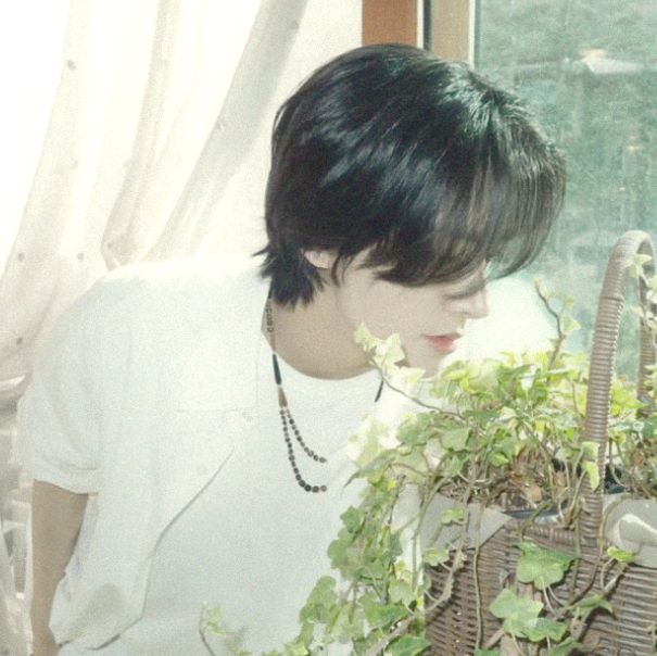 sohee☆ミ|enhypen is sevEN tweet media