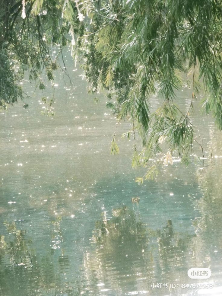 sohee☆ミ|enhypen is sevEN tweet media