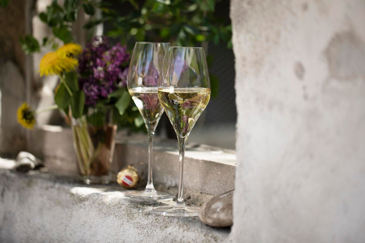 AustrianwineUSA's tweet image. Spring is in full swing🌷 and it's time for Sekt Austria PDO🍾 . Whether you choose white or rosé the sparkling wine🥂 is the perfect way to add more pep to your step. 

📸 Austrian Wine / Carletto Photography, Blickwerk Fotografie 
#AustrianWine
*Supported by the European Union