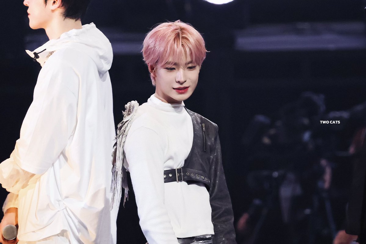 𝑻𝑾𝑶 𝑪𝑨𝑻𝑺 tweet media