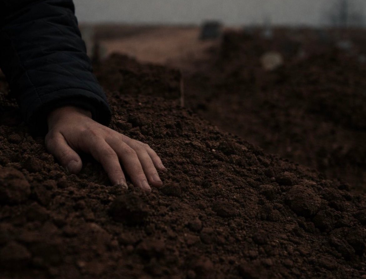 تَأبّطَ شِعراً … tweet media