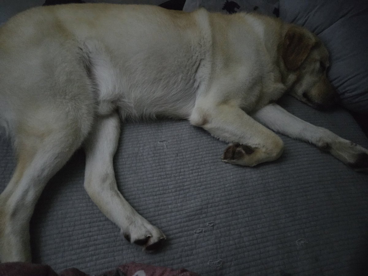 꽃괴🌷 tweet media