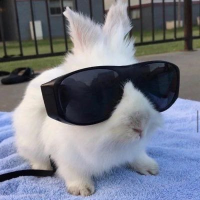 사천.. tweet media