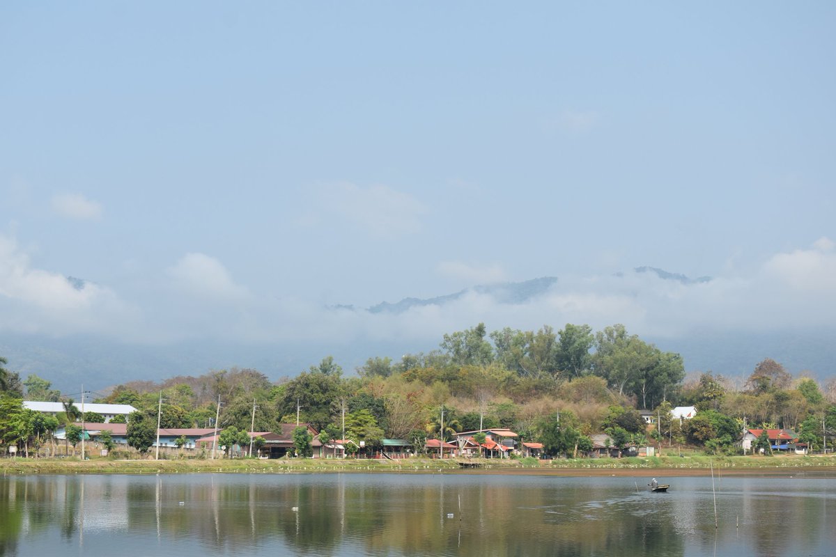 Cerberane's tweet image. More Lovely views from one of my morning #walks around อ่างเก็บน้ำหนองบัว in late February 
วิวสวยๆ จากการเดินเที่ยวรอบๆ อ่างเก็บน้ำหนองบัวช่วงปลายเดือนกุมภาพันธ์
#lake
#mountains
#lotusflower
#nature
#naturelovers
#naturephotography