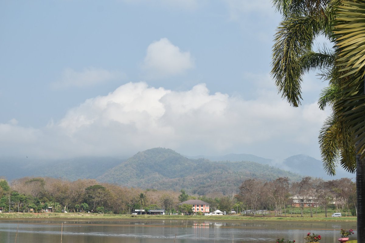 Cerberane's tweet image. More Lovely views from one of my morning #walks around อ่างเก็บน้ำหนองบัว in late February 
วิวสวยๆ จากการเดินเที่ยวรอบๆ อ่างเก็บน้ำหนองบัวช่วงปลายเดือนกุมภาพันธ์
#lake
#mountains
#lotusflower
#nature
#naturelovers
#naturephotography
