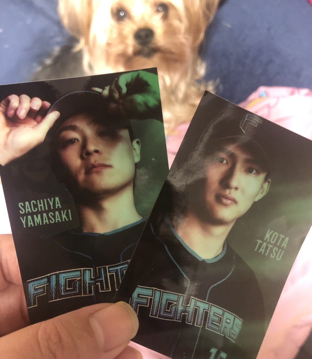 まりろこ🍌🍓🐯🐶⚾️ tweet media