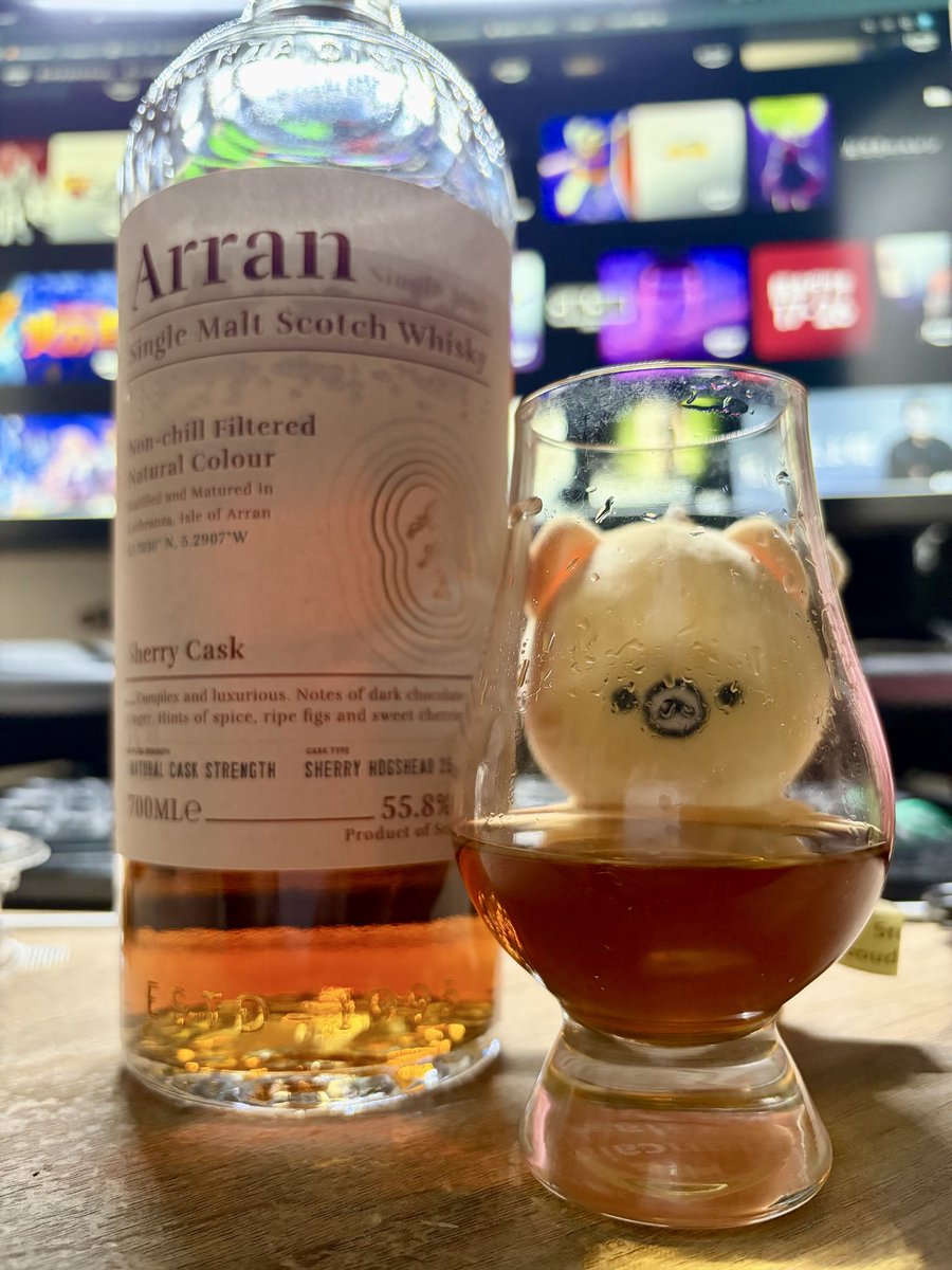 たぶんクマ〻MaybeKuma tweet media