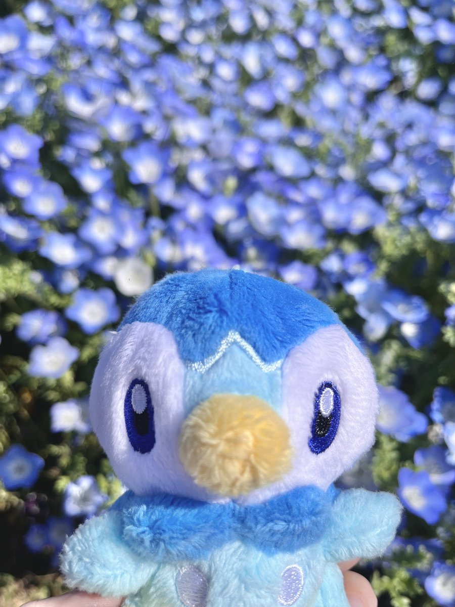 ぺんぺこ🐧 tweet media