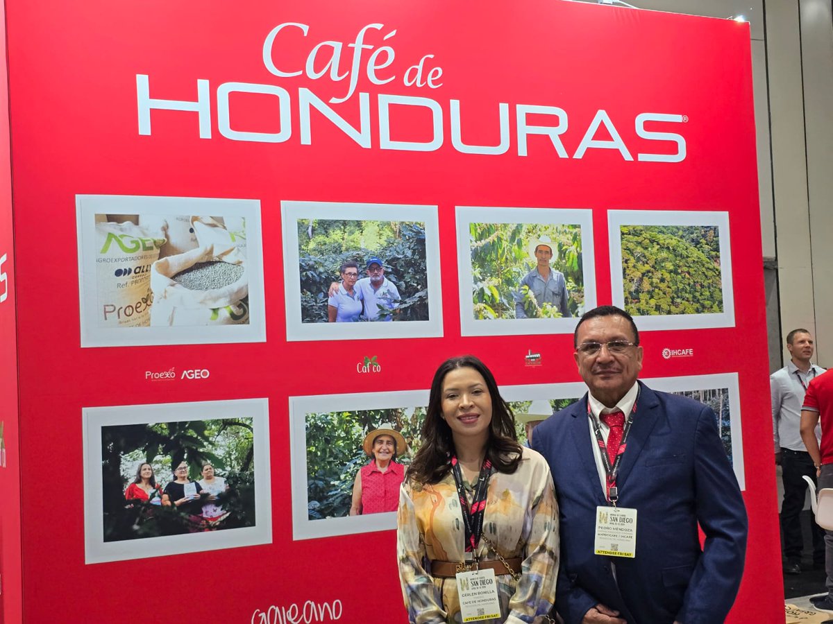 Pedro Mendoza tweet media