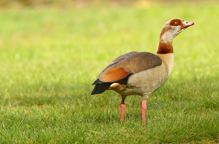 Marc Heath tweet media