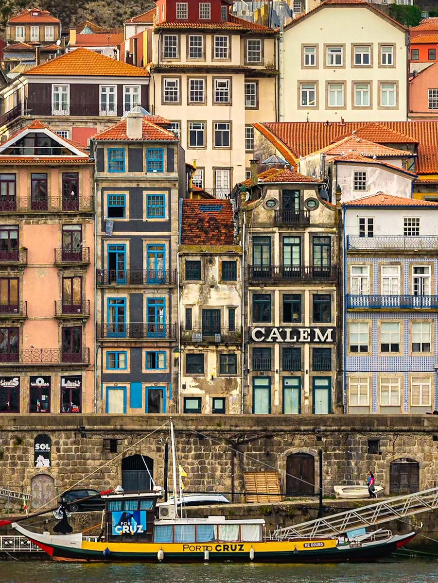 Nature Feels Only tweet media