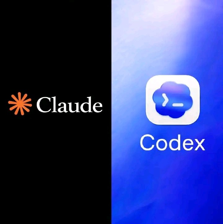 ℤ𝕐ℝ𝔸💻 tweet media