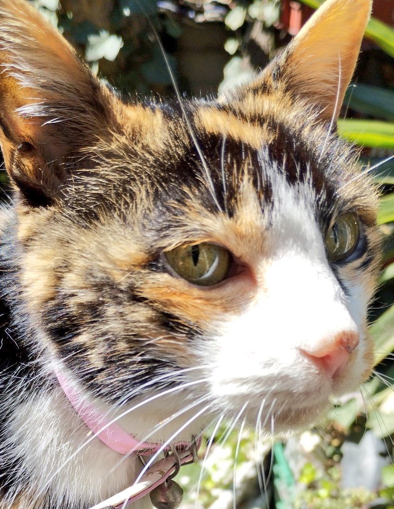 Marilyne Abril tweet media