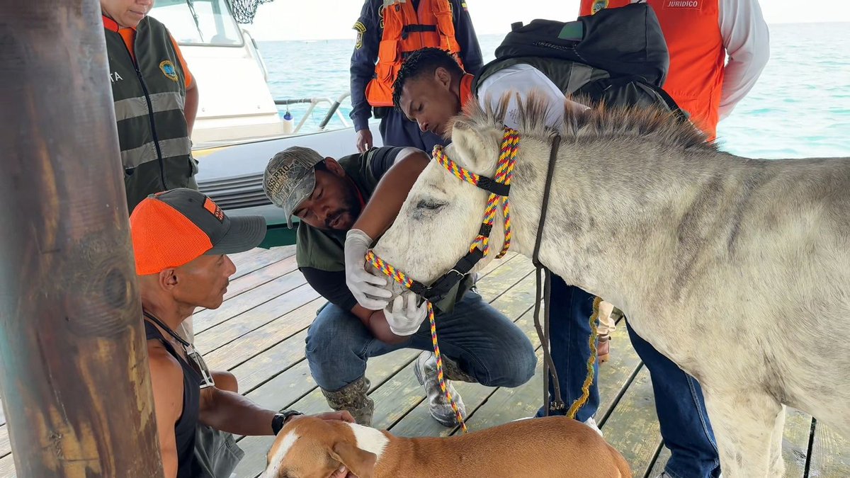 Caracol Radio Cartagena tweet media