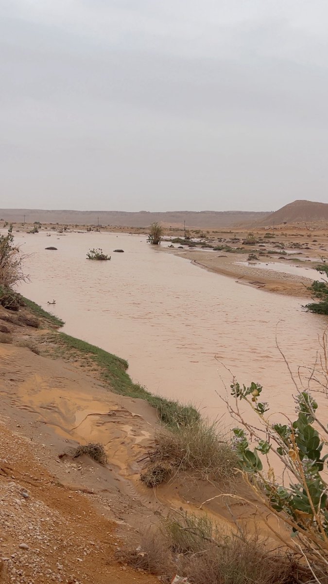د. حسن آل سعيد التميمي tweet media