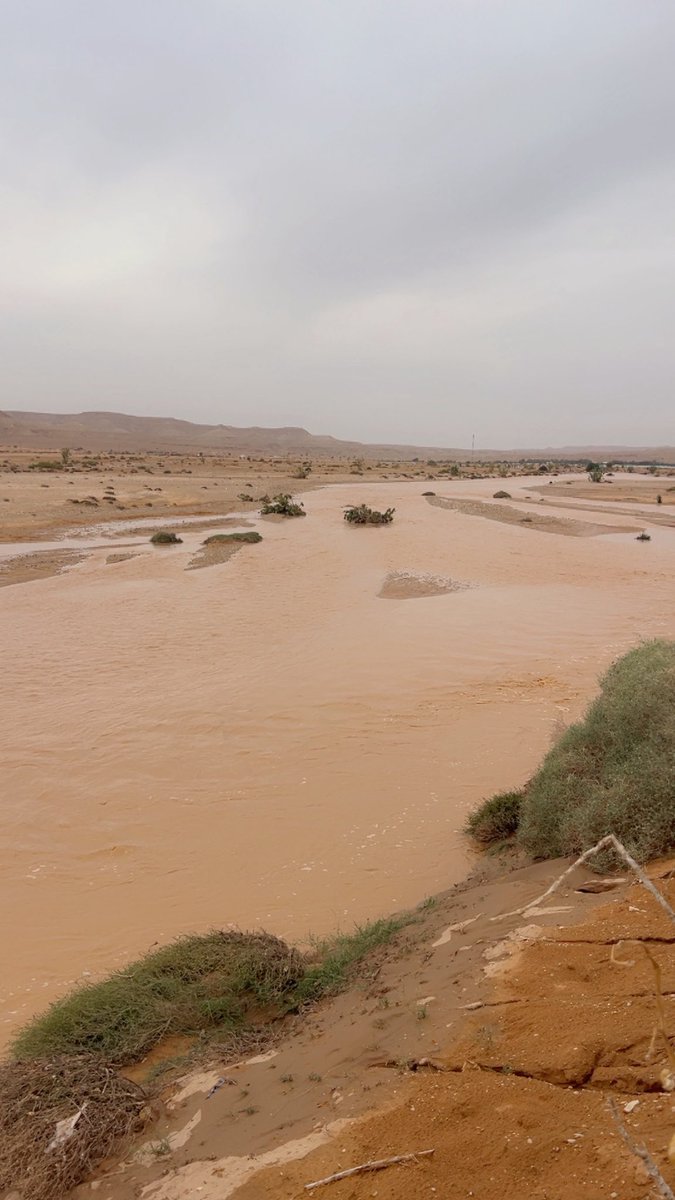 د. حسن آل سعيد التميمي tweet media