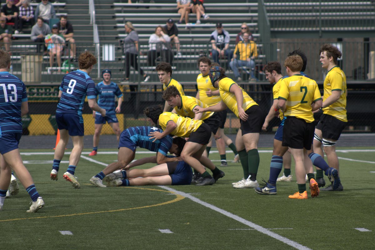 MedinaRugby's tweet photo. Varsity Boys Rugby | Match📸

Medina Bees🆚Olentangy Blues
📷: https://t.co/JsgIAwfwak

@medinaathletics @MedinaBoosters @MCScomm1 https://t.co/z8VuZncYQL