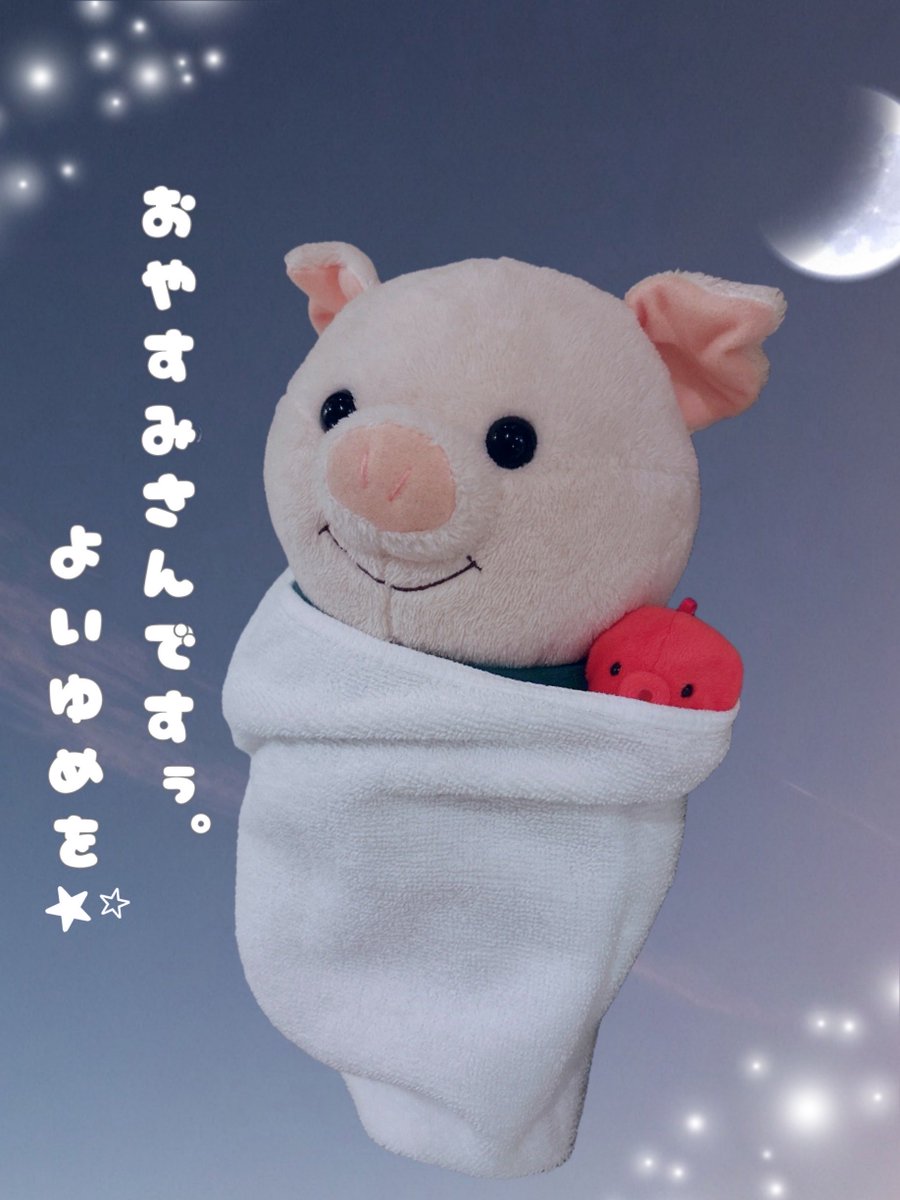 おやすみさんですぅ🐷🐙
よいゆめを⭐️ෆ
#ぷーとん