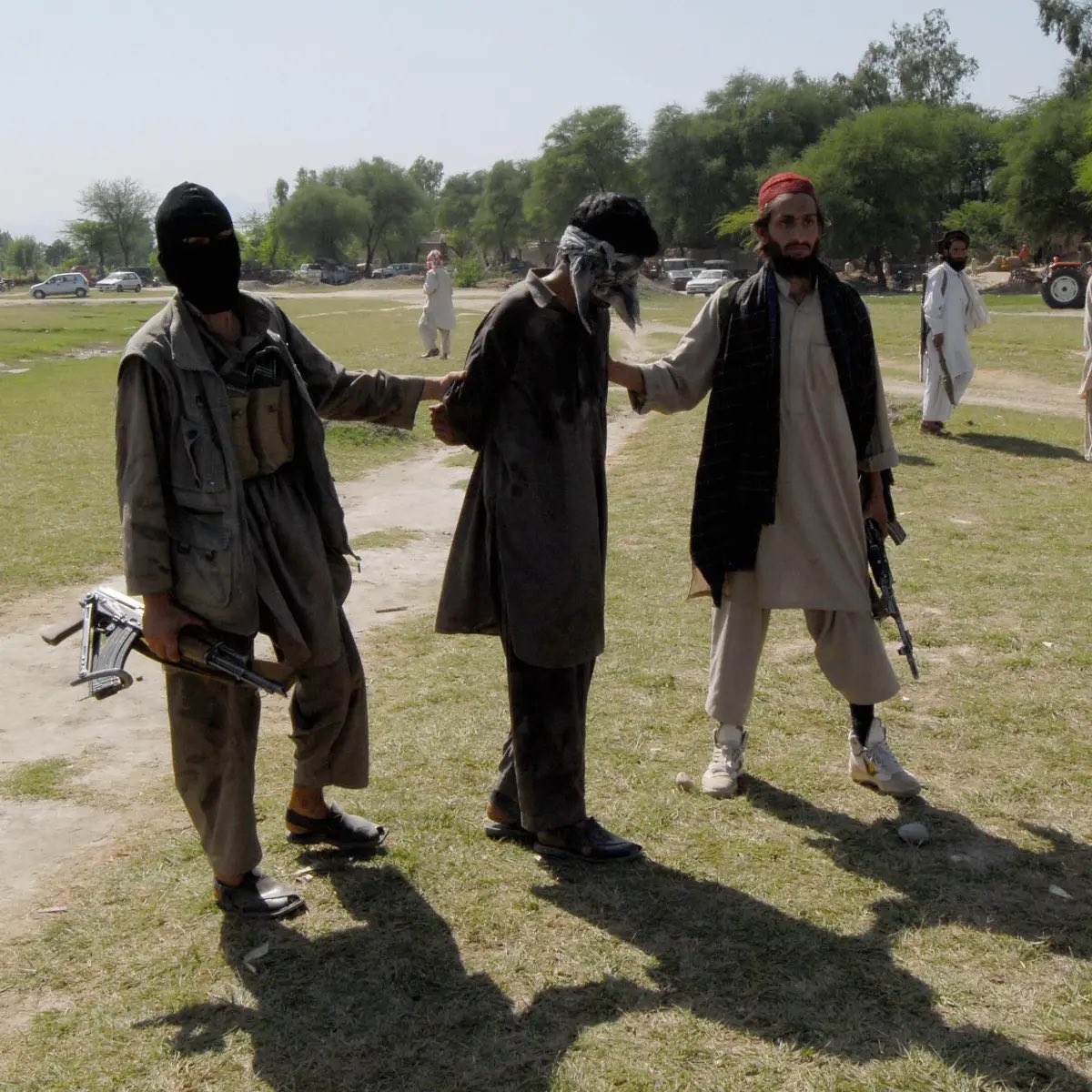 Mayank Sachde 🇮🇳 tweet media