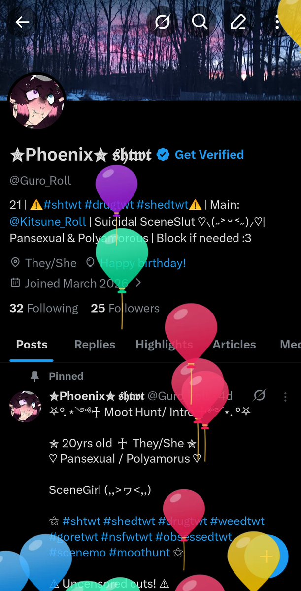 ✮Phoenix✮ 𝖘𝖍𝖙𝖜𝖙 tweet media