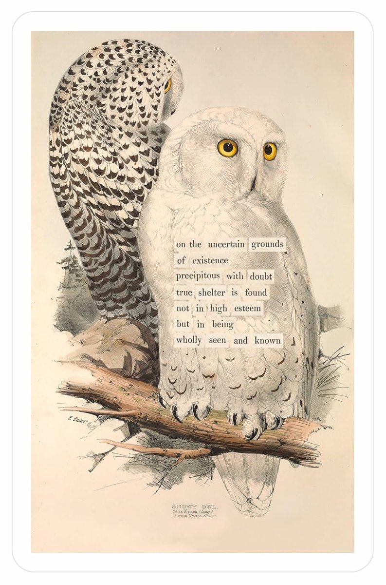 Pickaxe84199830's tweet image. #VisualArt #birds #poésie 
Maria Popova, b. 1984 - Bulgaria / US,
creator of TheMarginalian.org