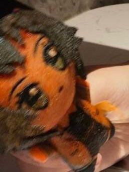 大狐帝国史官邹智萱（笔名段歌文） tweet media