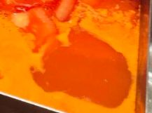 大狐帝国史官邹智萱（笔名段歌文） tweet media