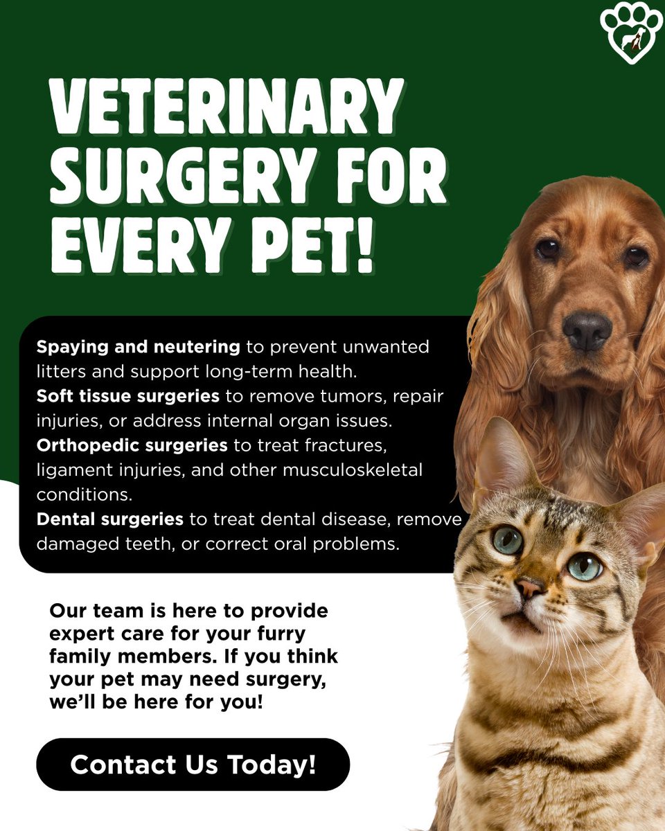 Animal Hosp. Sussex tweet media