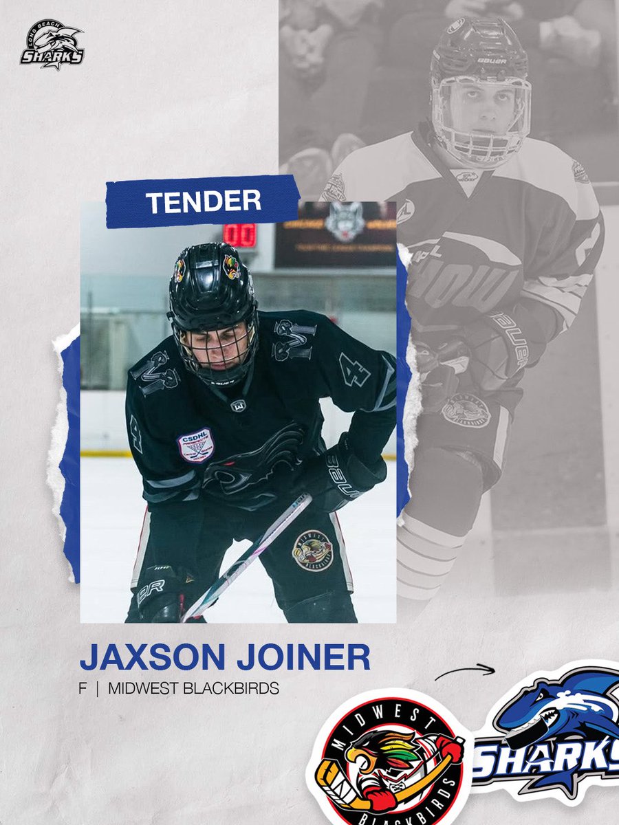 Long Beach Sharks tweet media