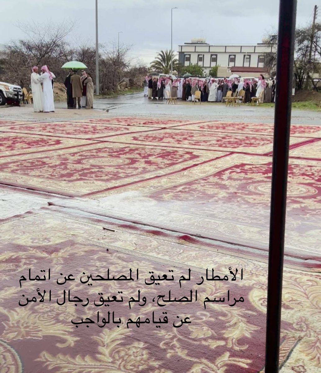 محمد بن دليم tweet media