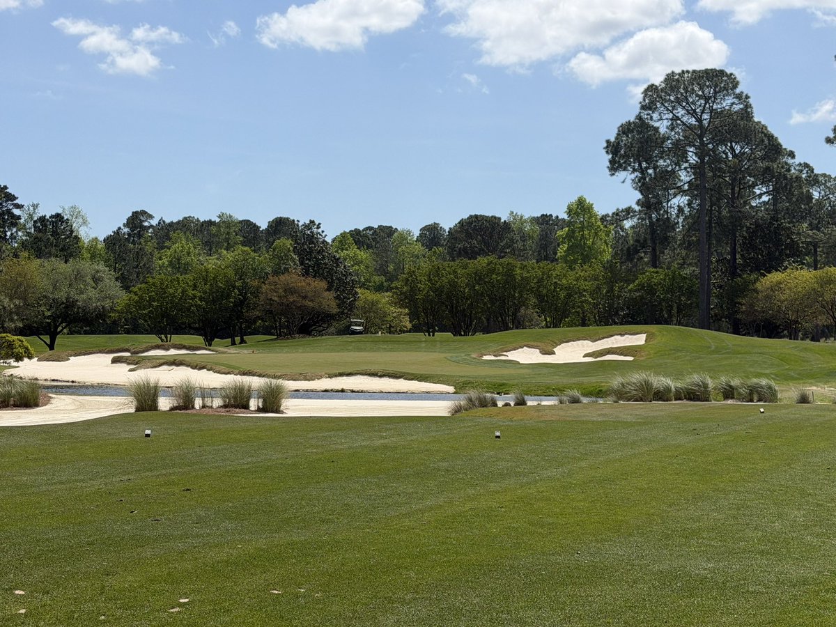 Dave Lettieri tweet media