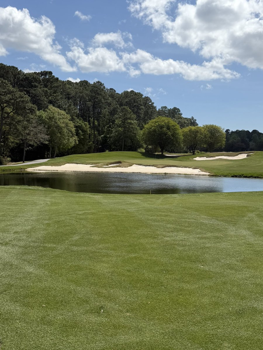 Dave Lettieri tweet media