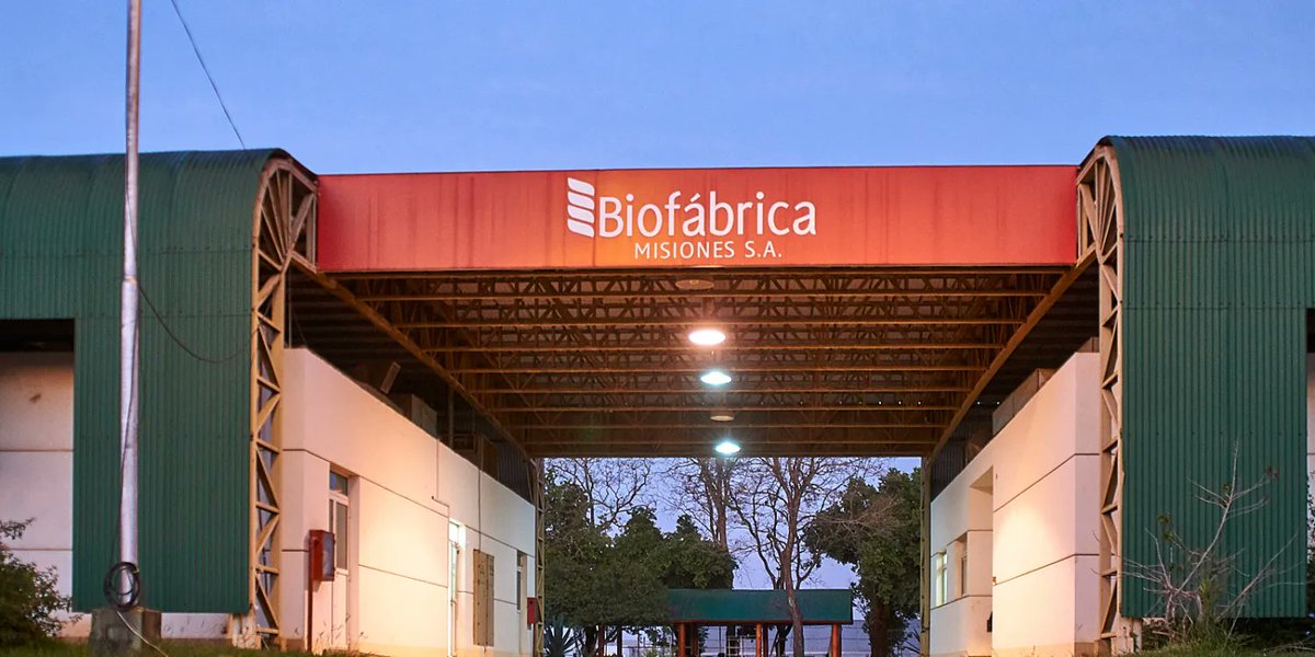 ENFOQUE Misiones tweet media