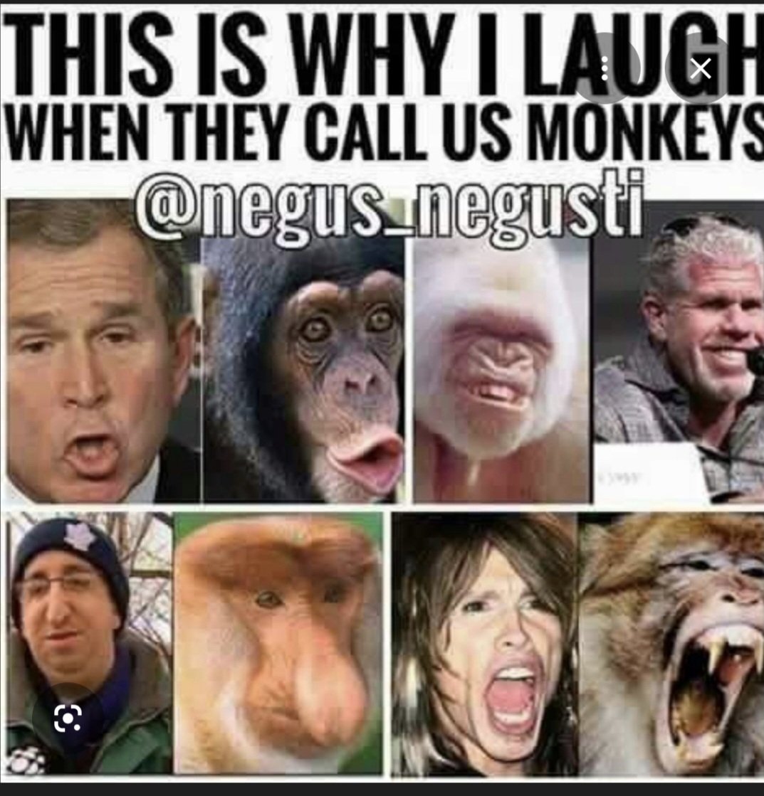 Edward Evans tweet media