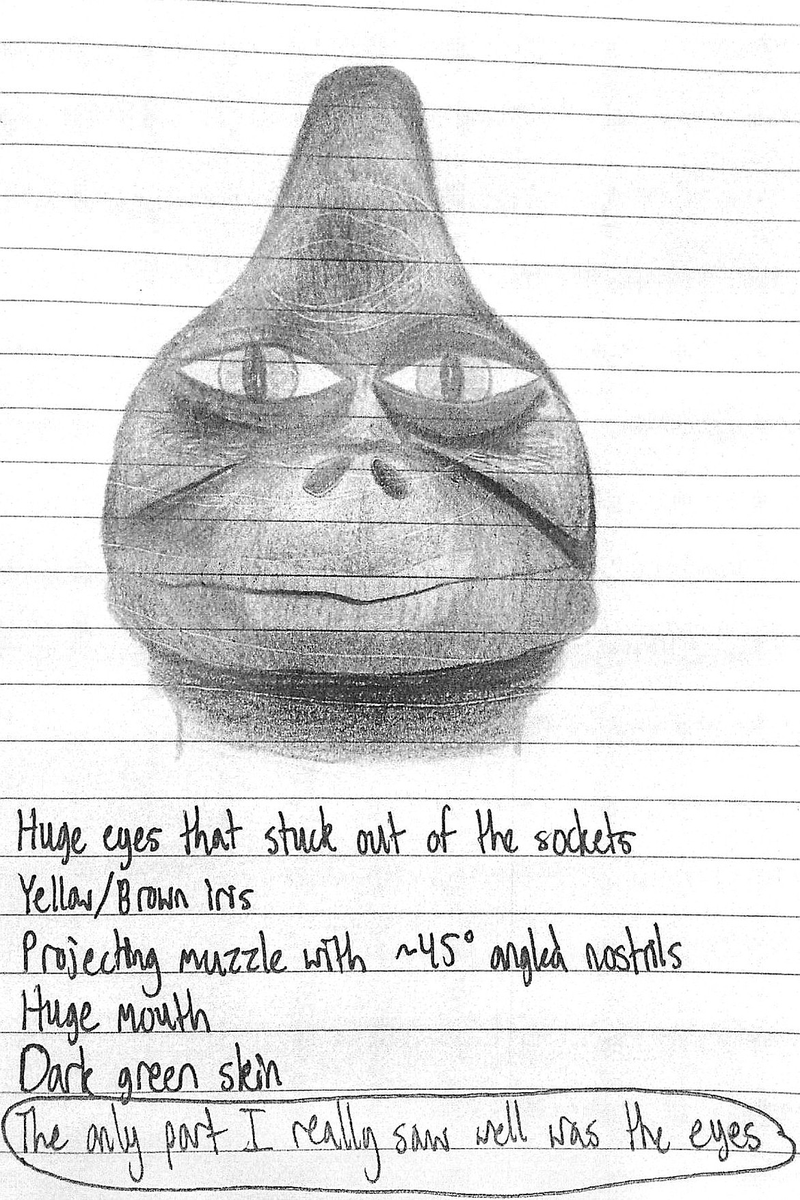 Polarity tweet media