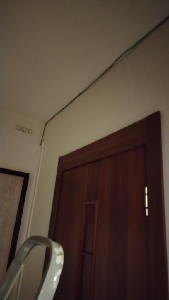 Phaenos† tweet media