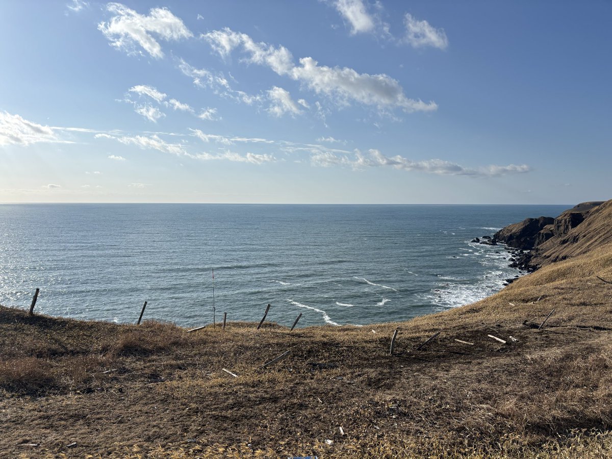 DAICE ver.2 tweet media