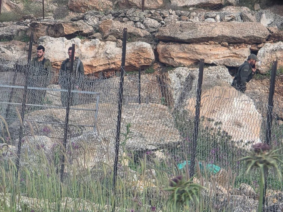 شبكة قدس الإخبارية tweet media